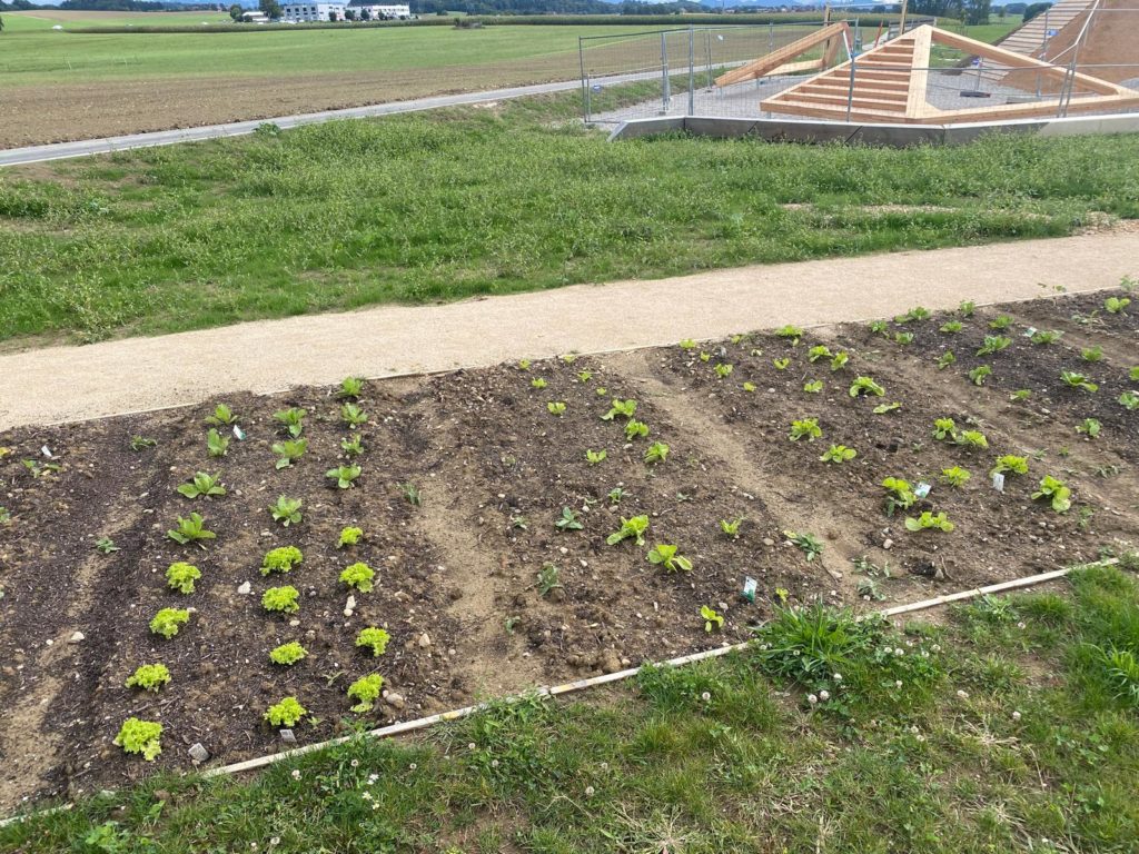 PHOTO-2024-09-12-17-04-53