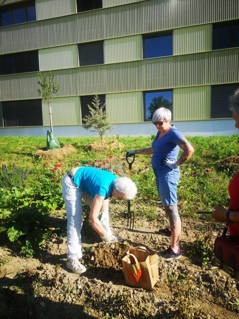 WhatsApp Image 2025-08-23 at 18.27.48