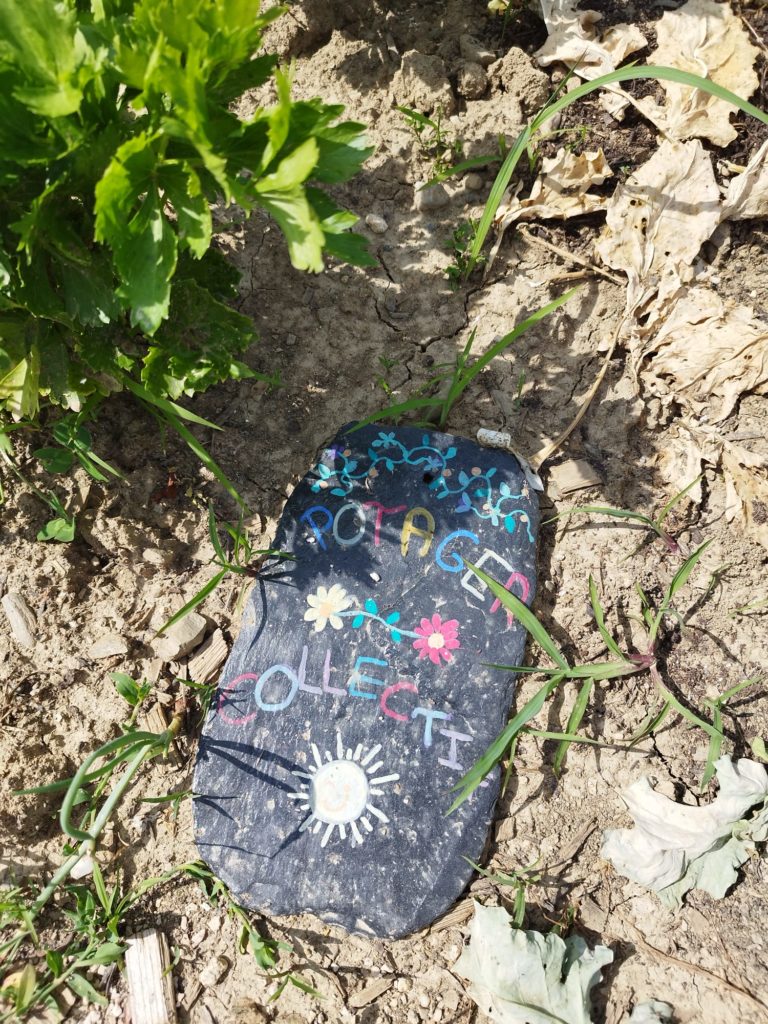 WhatsApp Image 2025-08-23 at 19.08.22 (1)