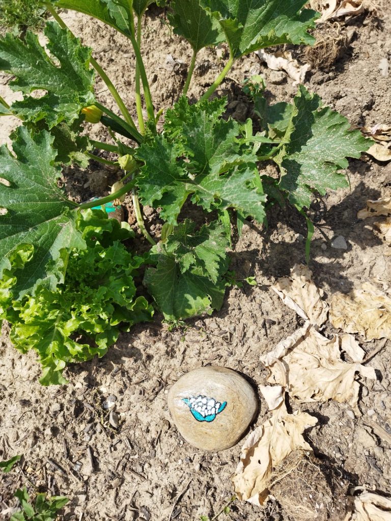 WhatsApp Image 2025-08-23 at 19.08.22 (2)